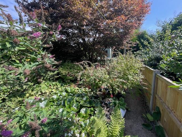 Whit Burn,Ibstock Road, Ellistown, LE671EE